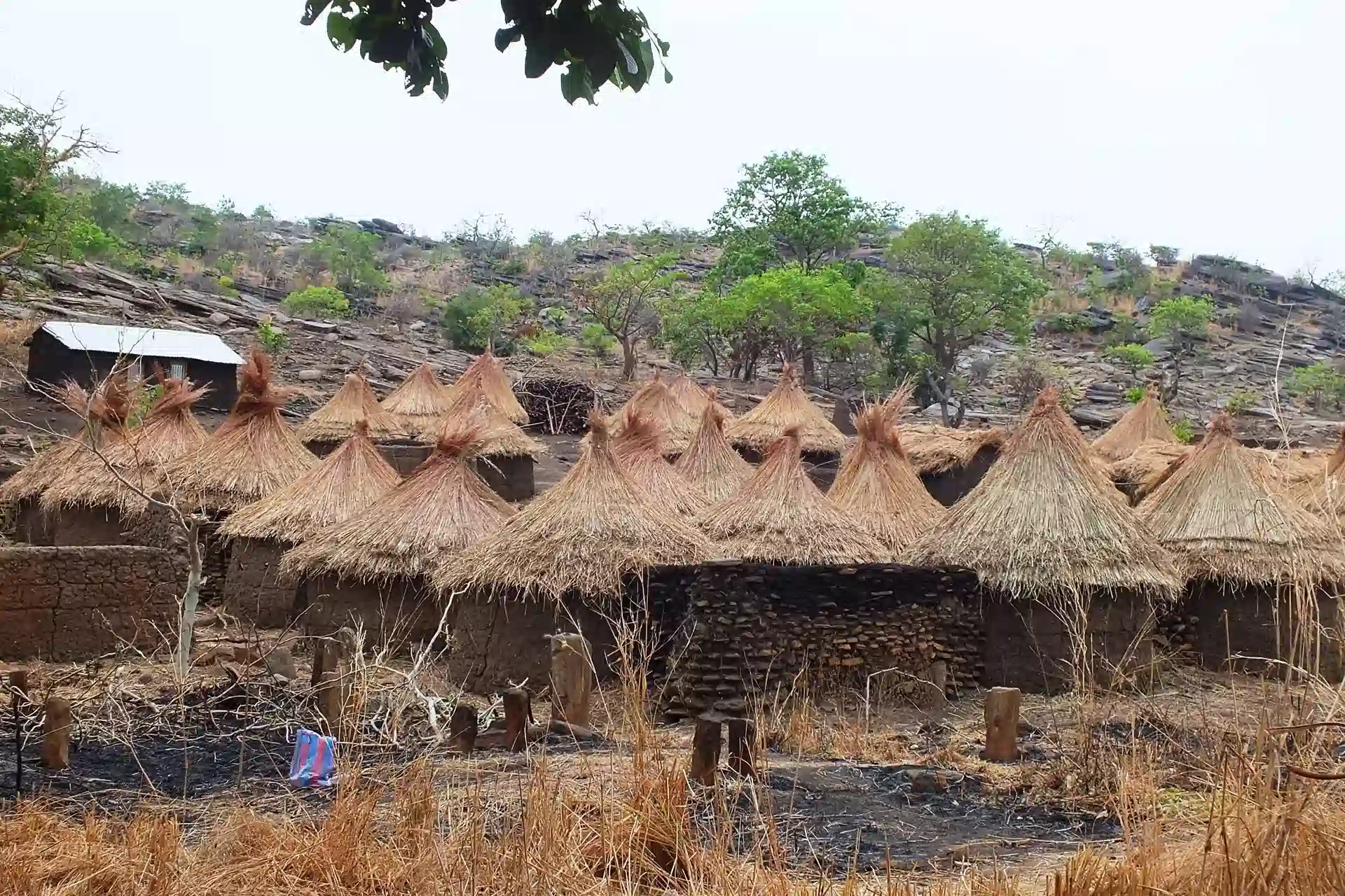 Lire la suite à propos de l’article Immersion au Pays Somba