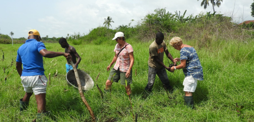 Action-carbone-plantation-paletuvier-route-des-peches-adounko-ecotourisme-benin-ecobenin_new