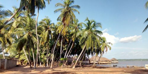 Cocotier_lac-aheme_plage_Possotome_ecotourisme_ecobenin